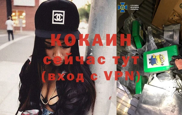 мдпв Дмитров