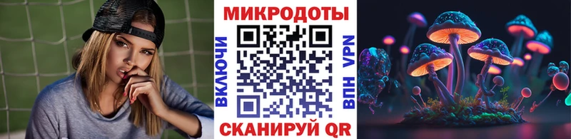 Купить где  Магас  Галлюциногенные грибы прущие грибы 